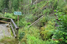 Foto: Totholz unterhalb der Niedermühle