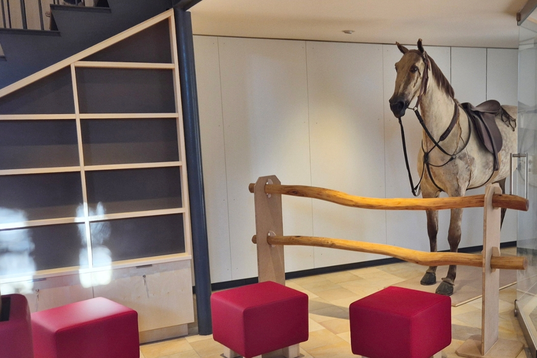 Schloss Weesenstein - Museumsshop und Kassenbereich