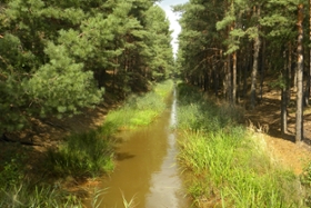 Foto: Symbolbild für vom Bergbau geprägtes Gewässer (hier die Struga, Nebenfluss der Spree).