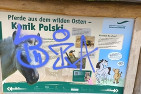 Foto: Rowdytum an Naturlehrpfad