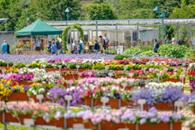Foto: Pillnitzer Gartentag