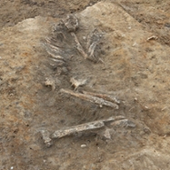 Foto: Mit angezogenen Beinen und angewinkelten Armen liegt das Skelett auf der linken Seite.