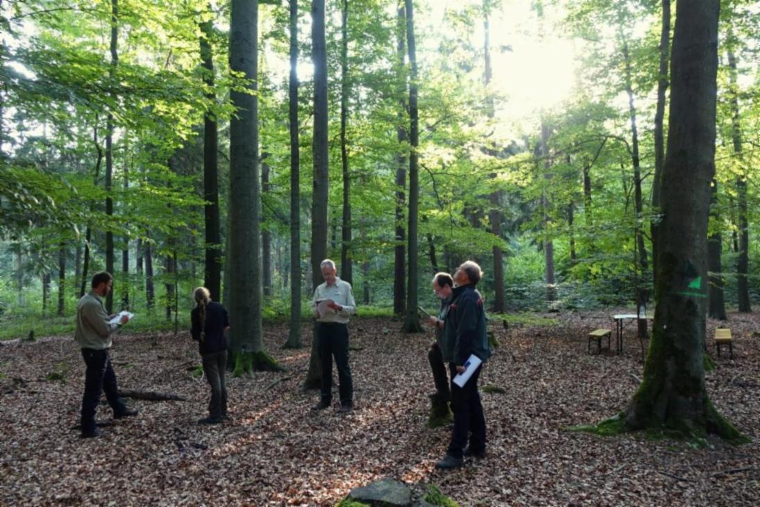 Die Försterausbildung ist anspruchsvoll und vielseitig: Wie hier bei der praktischen Waldprüfung des diesjährigen Abschlussjahrgangs müssen sich die Absolventen in vielen Fachbereichen beweisen.