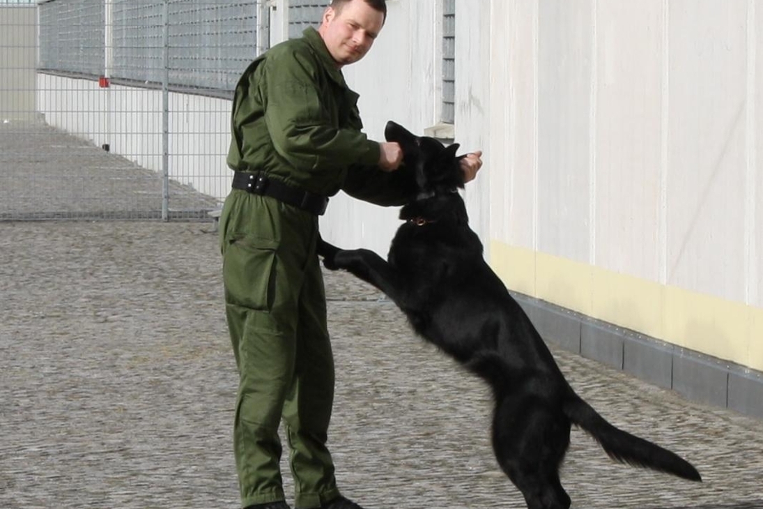 Greta mit Hundeführer