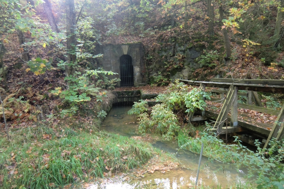Mundloch des Hauptstollnumbruchs im Freiberger Revier nahe Tuttendorf mit Grubenwasseraustritt.