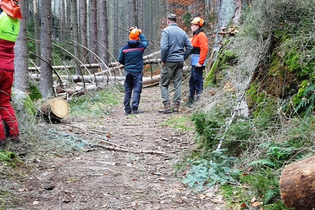 Nach intensiven Prüfungen mussten aktuell 19 Wege im hinteren südöstlichen Nationalparkteil für unpassierbar erklärt werden.